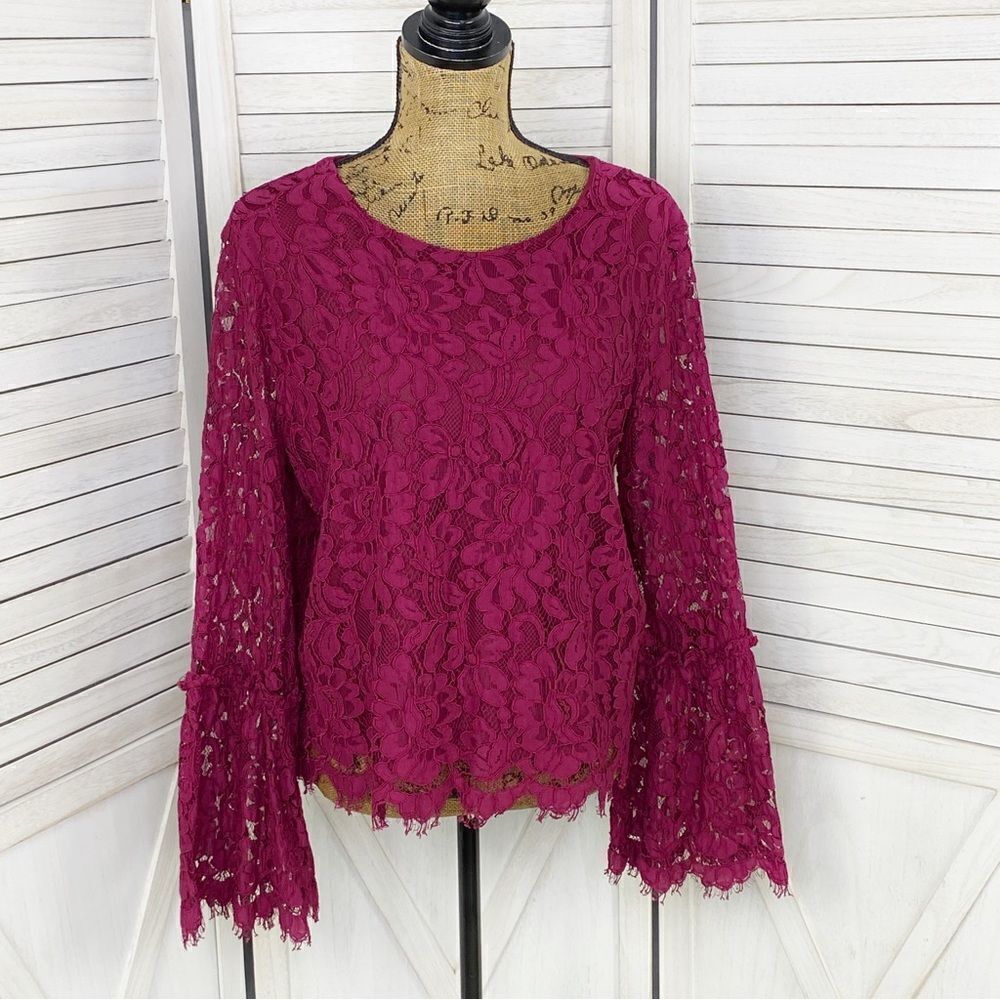 Simply Styled Lace Bell Sleeve Popover Crop Blouse Pink Large